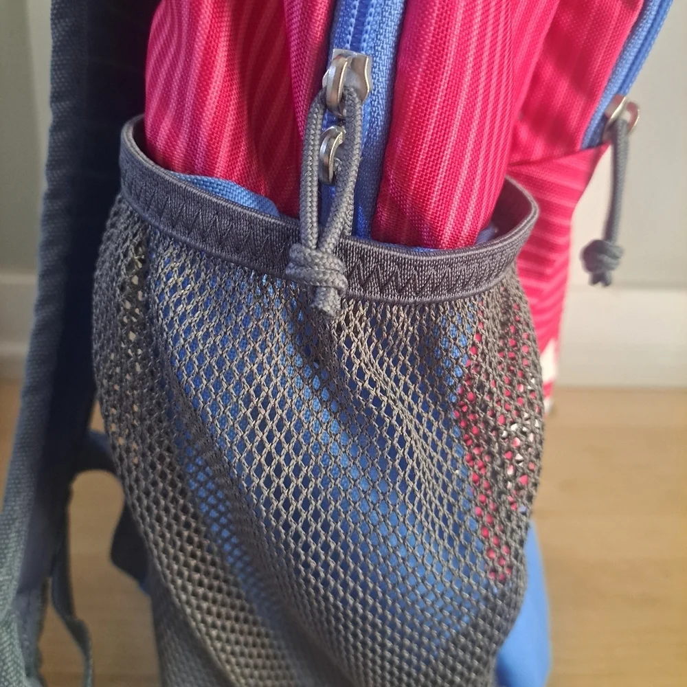 Adidas Pink & Blue Striped Backpack